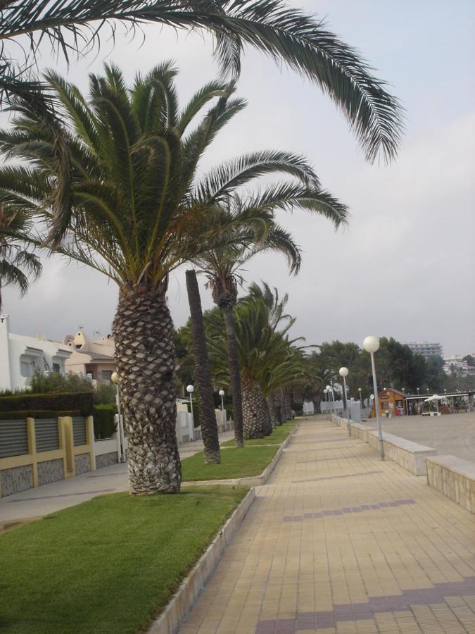 Apartament Del Mar ميامي بلاتجا المظهر الخارجي الصورة